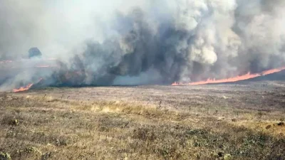 Bursa'nın Orhaneli ilçesinde ormanlık alanda çıkan yangın, havadan ve karadan