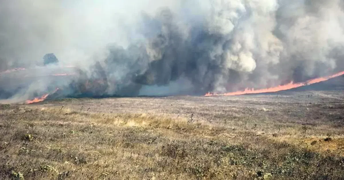 Bursa'nın Orhaneli ilçesinde ormanlık alanda çıkan yangın, havadan ve karadan