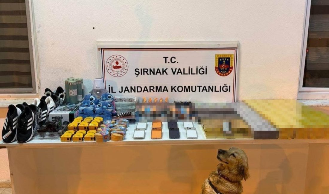 Şırnak'ta düzenlenen kaçakçılık operasyonunda ayakkabı, termos, oyuncak, telefon ve sigara