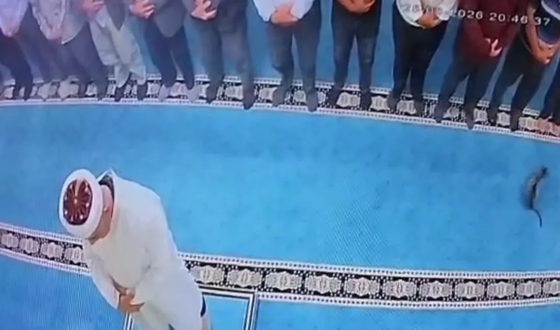 Erzurum'da Adalar Camii'nde yatsı namazında kediyi tekmeleyen kişi polis tarafından