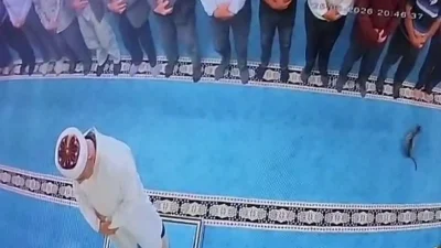 Erzurum'da Adalar Camii'nde yatsı namazında kediyi tekmeleyen kişi polis tarafından