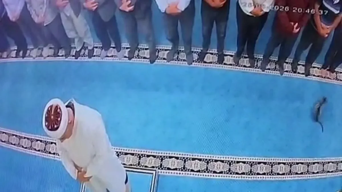 Erzurum'da Adalar Camii'nde yatsı namazında kediyi tekmeleyen kişi polis tarafından