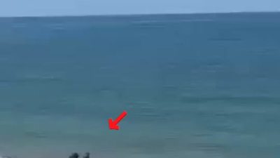 Akçakoca Akkaya Plajı'nda piknik yapan iki kadın, topladıkları çöpleri denize
