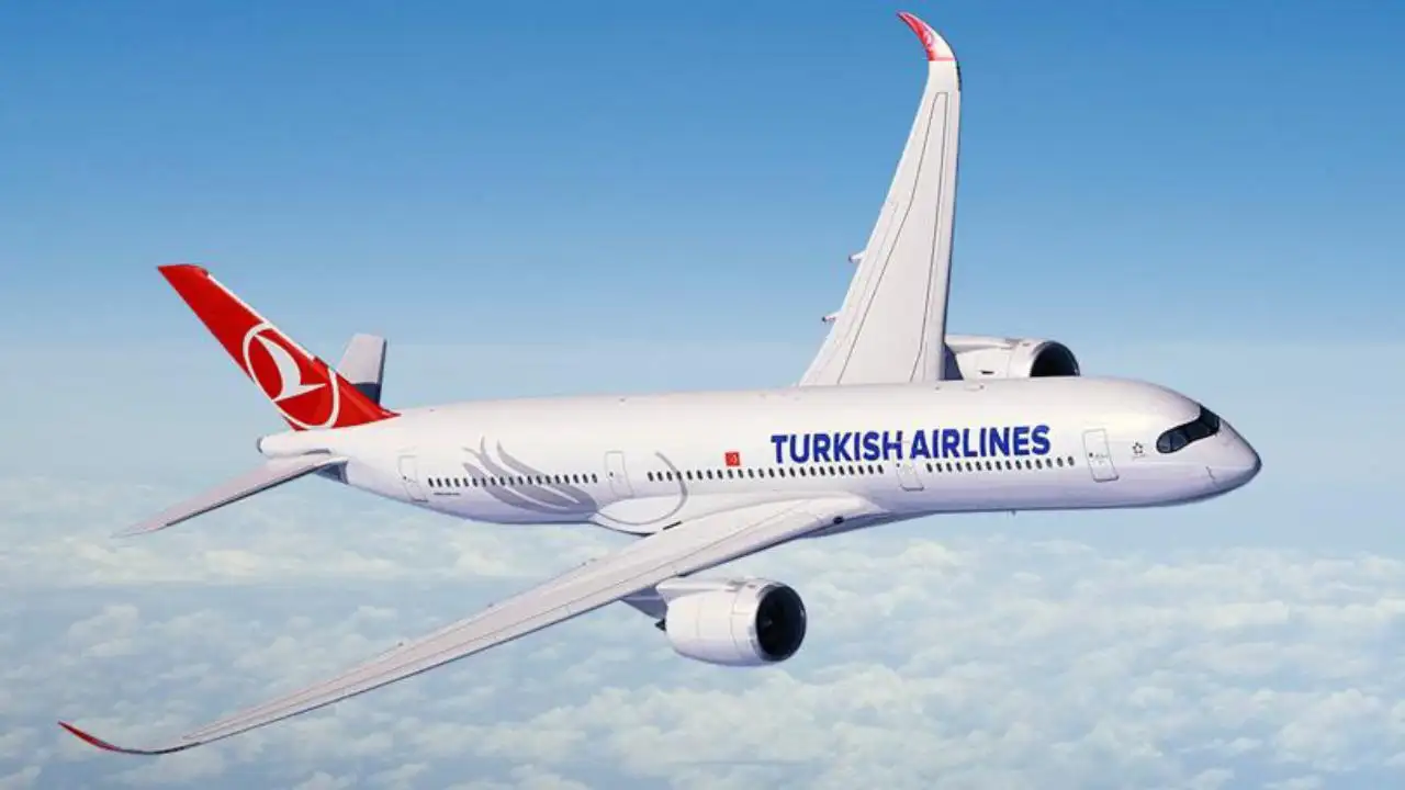 Türk Hava Yolları, yılın ilk sekiz ayında yolcu sayısını yüzde