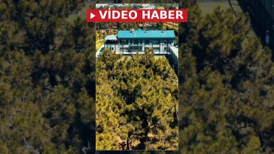 Ümraniye Belediyesi Yaz Futbol Okulu, çocukların sporla büyümesini, yeni arkadaşlıklar