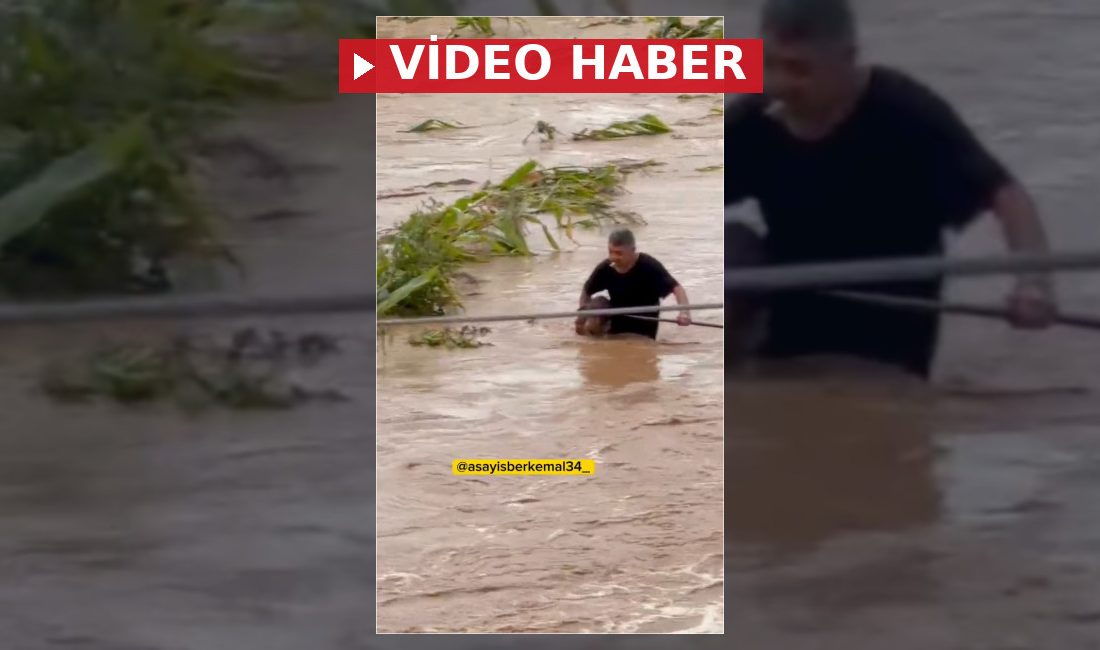 Sakarya'da sel sularında mahsur kalan köpeği kurtaran vatandaşın kahramanca mücadelesi