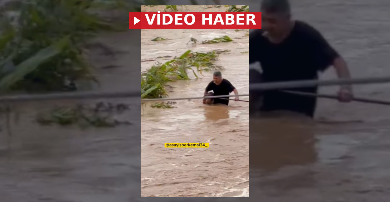 Sakarya'da sel sularında mahsur kalan köpeği kurtaran vatandaşın kahramanca mücadelesi