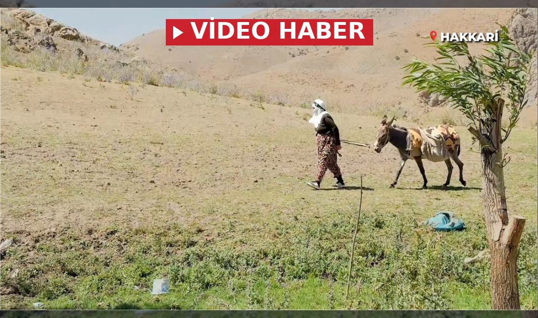 Hakkari'de görev yapan mobil sağlık ekipleri en ücra noktalara ulaşarak