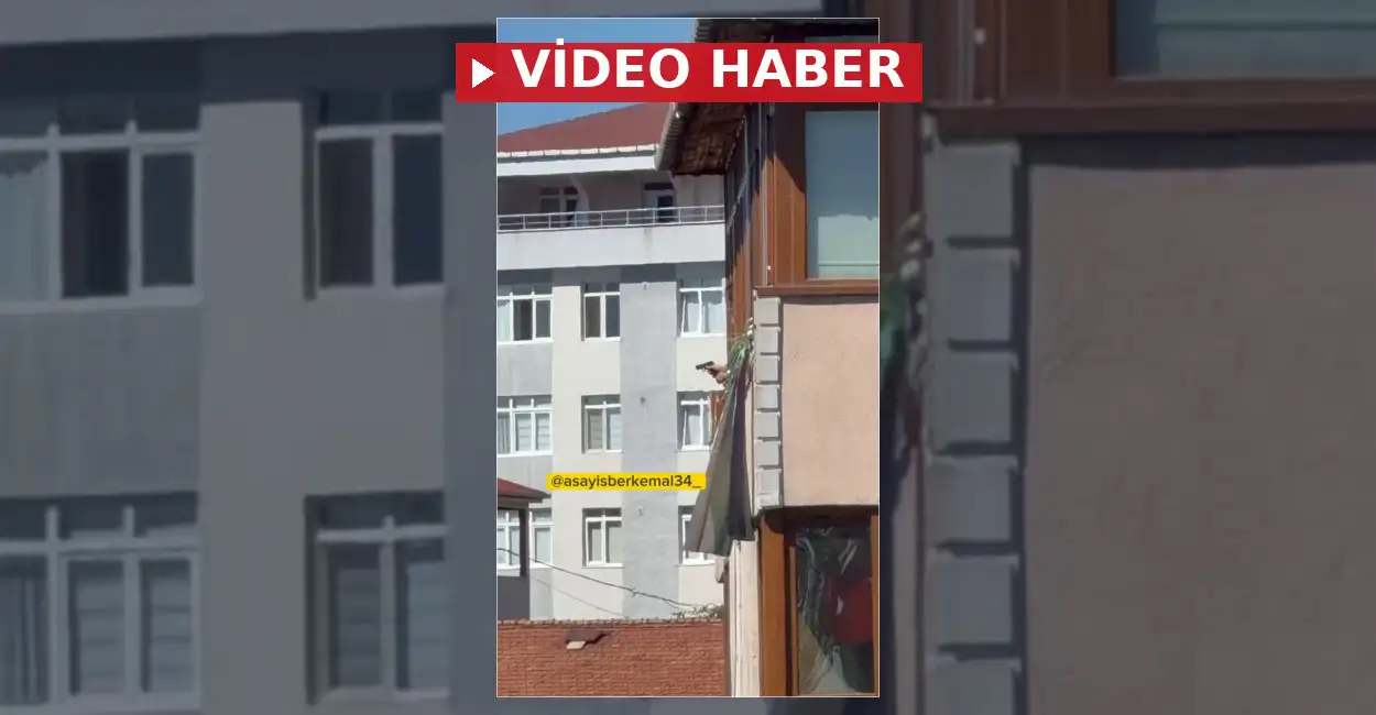Maltepe'de kiracının silahlı saldırısında ev sahibi çift hayatını kaybetti, avukat