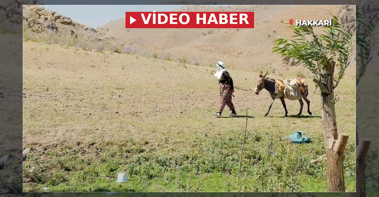 Hakkari Mobil Sağlık Ekipleri Hizmet Sürdürüyor