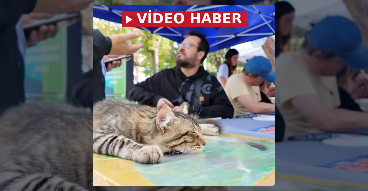 Kadıköy Çizgi Festivali Yoğurtçu Parkı’nda Sona Erdi