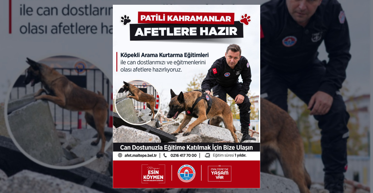 Maltepe Belediyesi köpeklere arama kurtarma eğitimi veriyor