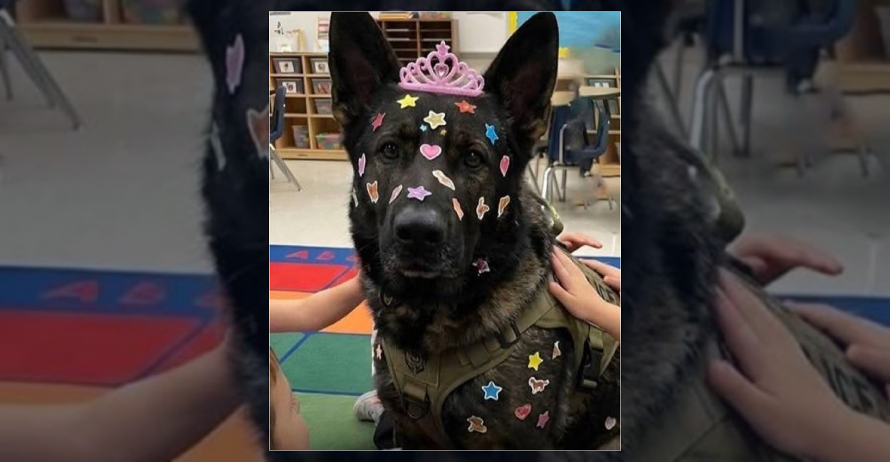 Polis Köpeği Okul Ziyaretinde Çıkartmalarla Kaplandı