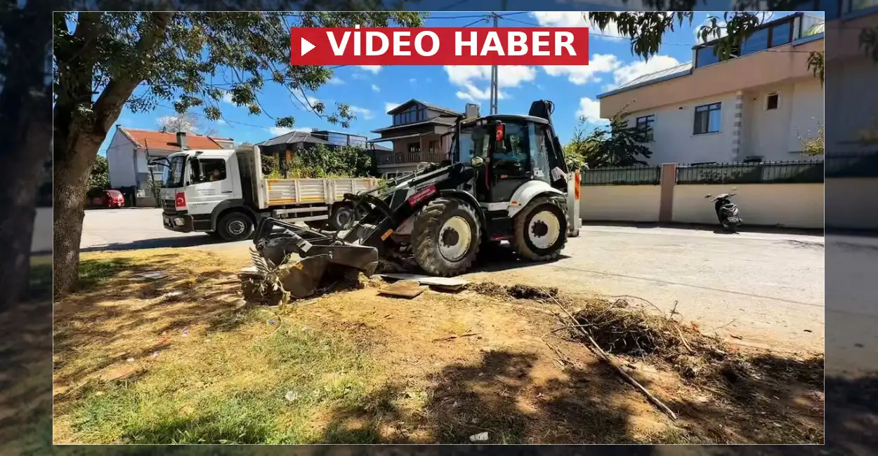 Şile Belediyesi Saha Çalışmaları ve Temizlik Faaliyetleri