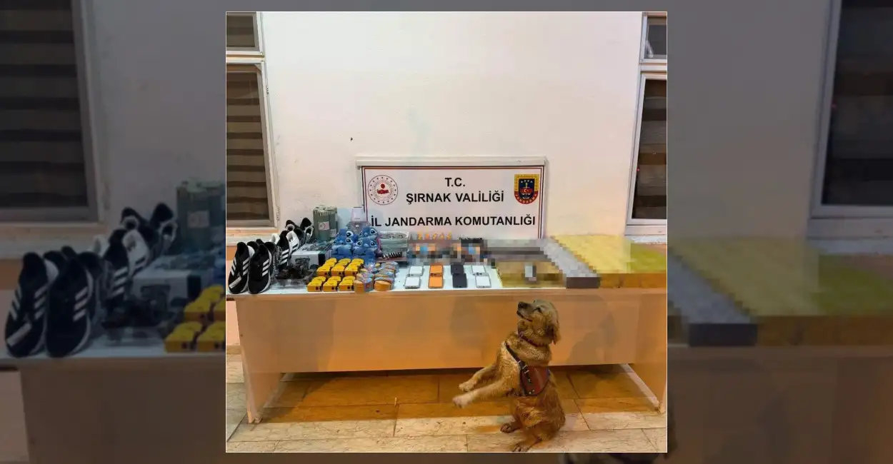 Şırnak’ta Gerçekleştirilen Operasyonda Kaçak Malzemeler Ele Geçirildi