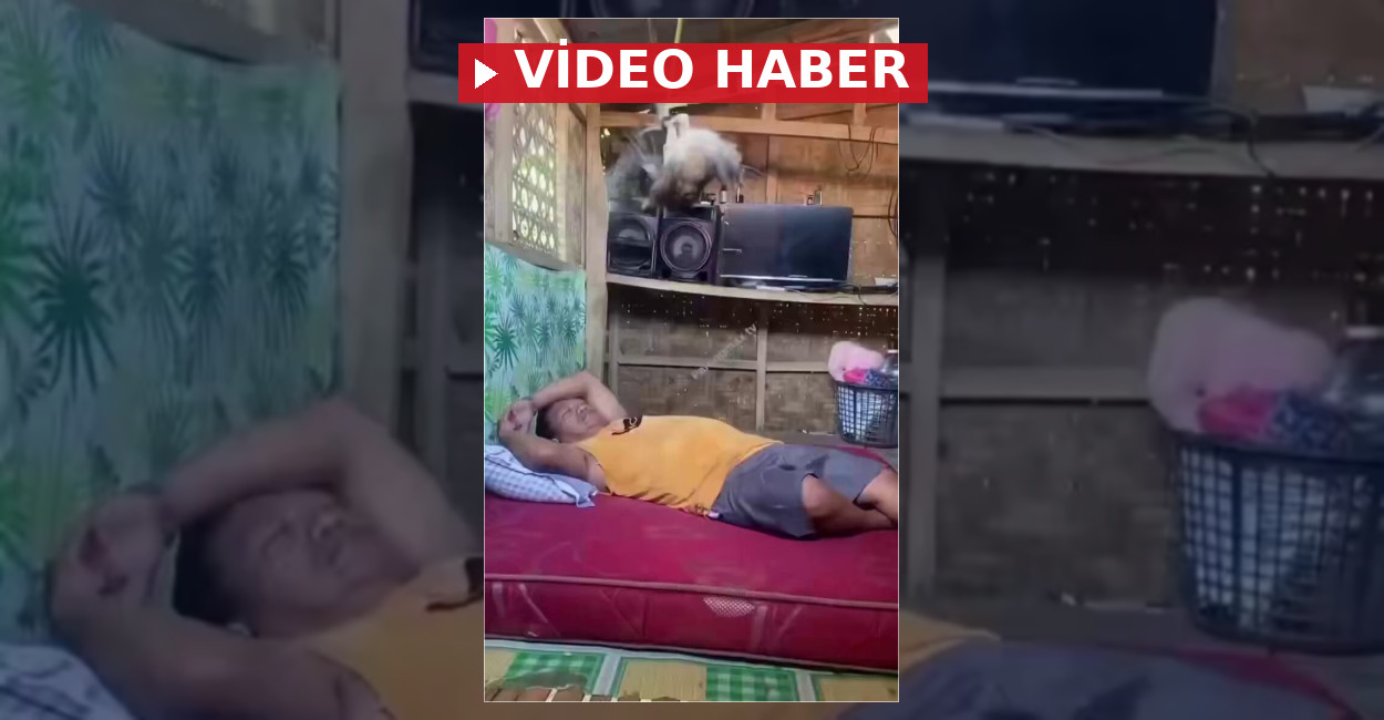 Tayland’da Sıcaktan Bunalan Adamın Serinleme Yöntemi