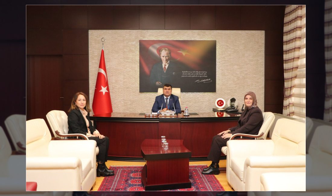 İstanbul İl Göç İdaresi Müdür Yardımcısı Şerife Halıcıoğlu Gümüşlü, Sultanbeyli