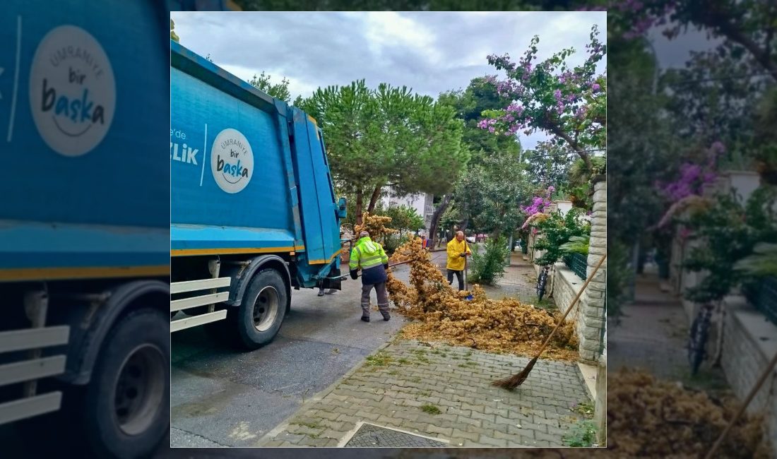 Adalar Belediyesi ekipleri, Ümraniye Belediyesi'nin desteğiyle Kınalıada'da bahçe atıkları ve