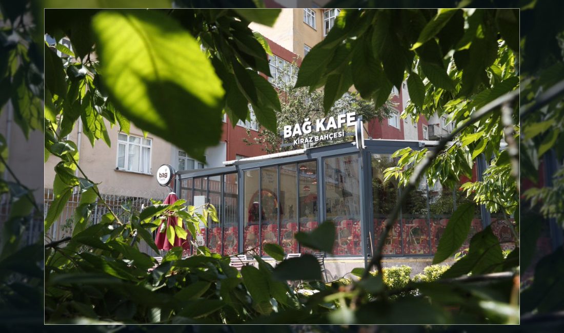 Bağcılar Belediyesi, vatandaşları Kiraz Bahçesi içerisindeki Bağ Kafe Kirazlı'da keyifli