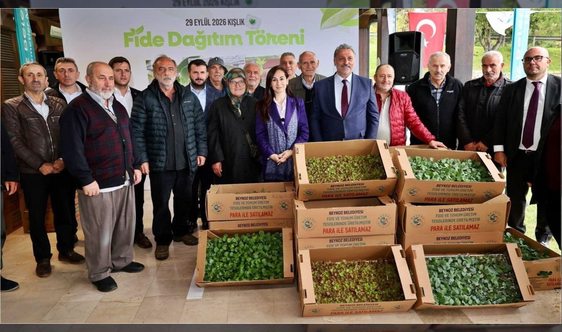 Beykoz Belediyesi, Cumhuriyetköy Fide Üretim Merkezi'nde yetiştirdiği 625 bin kışlık