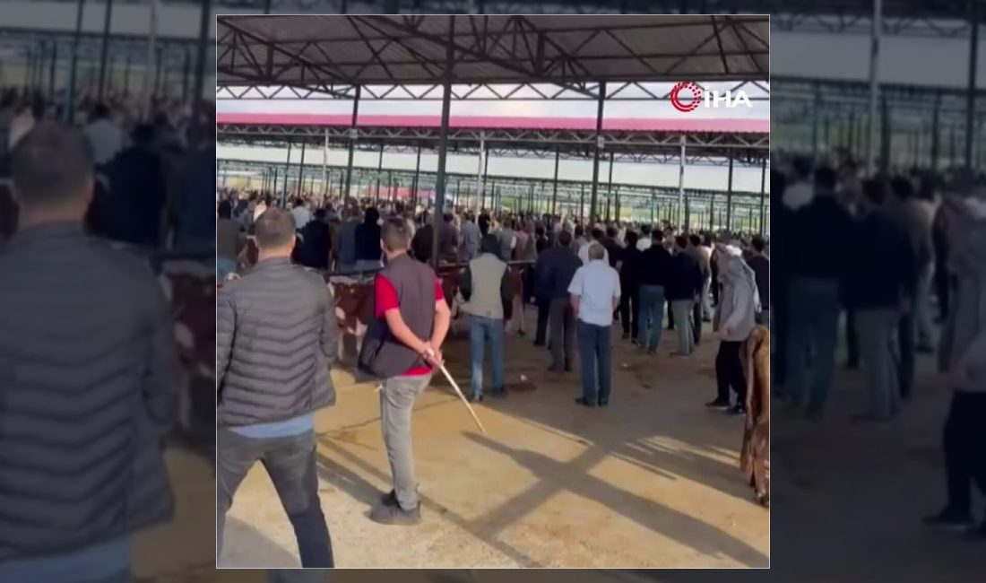 Şanlıurfa'nın Siverek ilçesindeki hayvan pazarında çıkan iki grup arasındaki kavgada