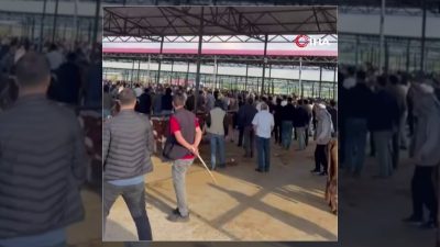 Şanlıurfa'nın Siverek ilçesindeki hayvan pazarında çıkan iki grup arasındaki kavgada
