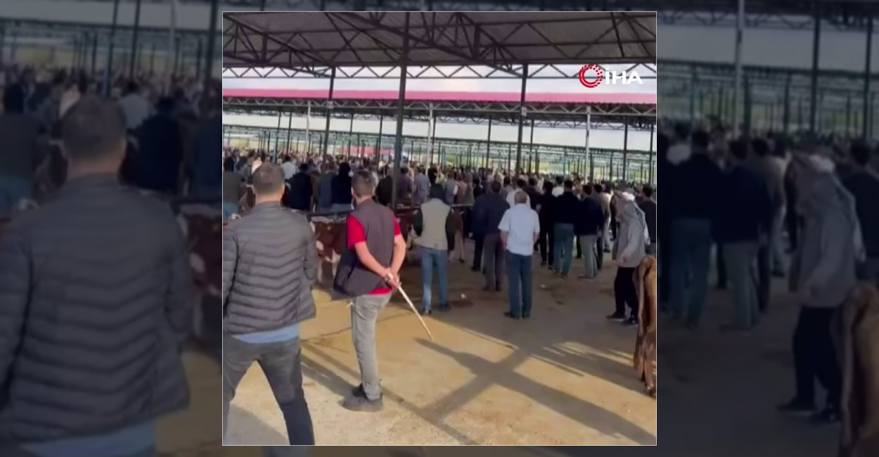 Şanlıurfa'nın Siverek ilçesindeki hayvan pazarında çıkan iki grup arasındaki kavgada
