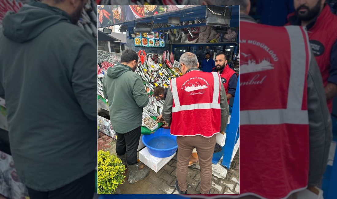 Küçükçekmece'de gıda güvenliğini sağlamak amacıyla üretim, satış ve toplu tüketim