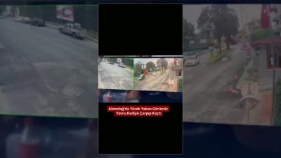 İstanbul Çekmeköy'de ters yönden gelen otomobilin çarptığı yavru kedi yaralandı.