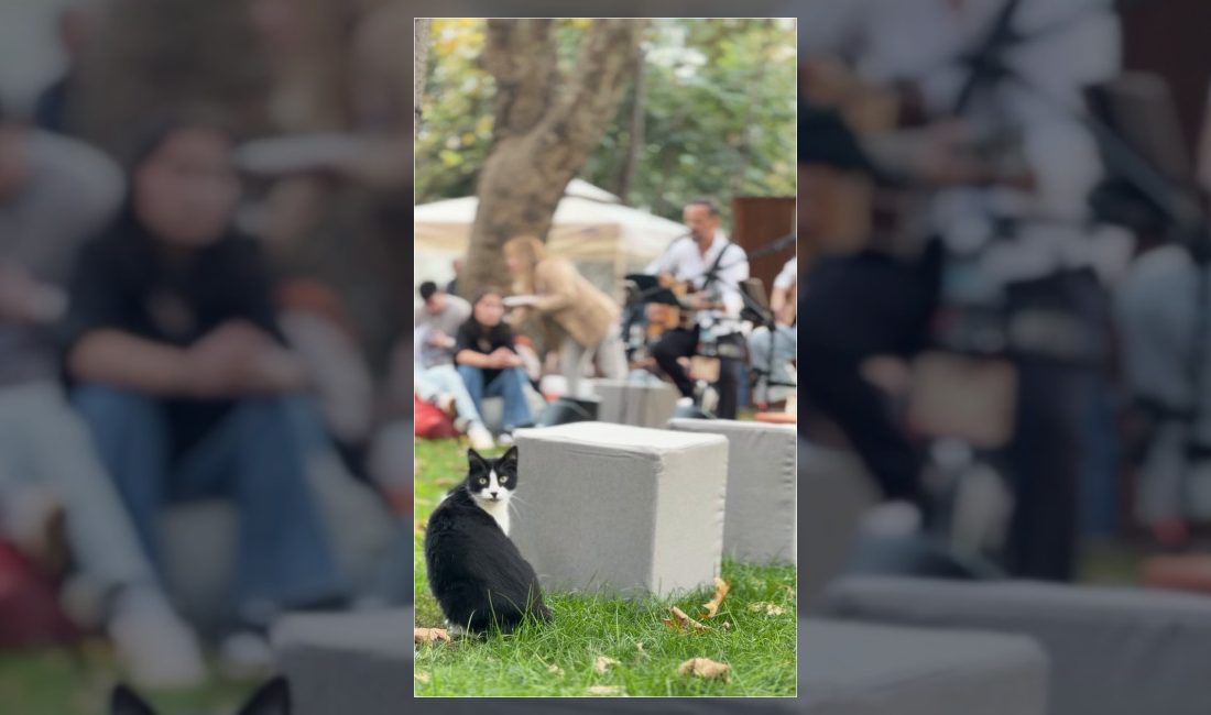 Bakırköy Belediyesi, sosyal medya üzerinden Özdemir Asaf'ın dizeleriyle ilçe sakinlerine