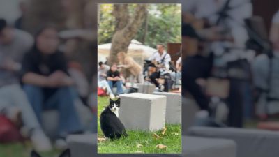 Bakırköy Belediyesi, sosyal medya üzerinden Özdemir Asaf'ın dizeleriyle ilçe sakinlerine