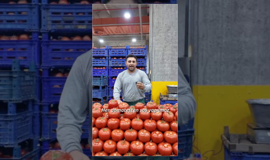 Başakşehir Belediyesi, kışlık hazırlıklar öncesi domates çeşitleri ve pazar alışverişi