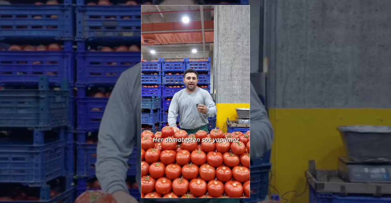 Başakşehir Belediyesi, kışlık hazırlıklar öncesi domates çeşitleri ve pazar alışverişi