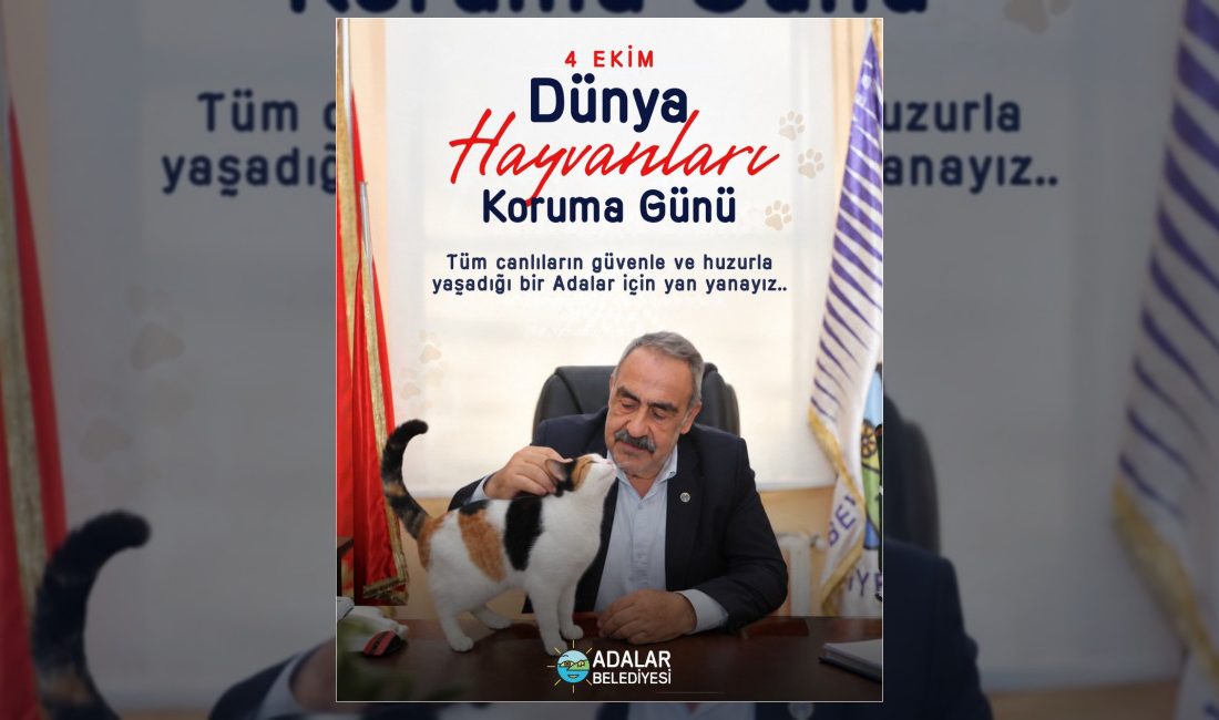 Adalar Belediyesi, 4 Ekim Dünya Hayvanları Koruma Günü dolayısıyla bir