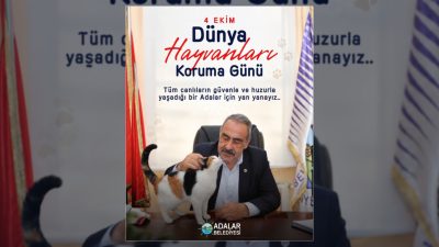 Adalar Belediyesi, 4 Ekim Dünya Hayvanları Koruma Günü dolayısıyla bir