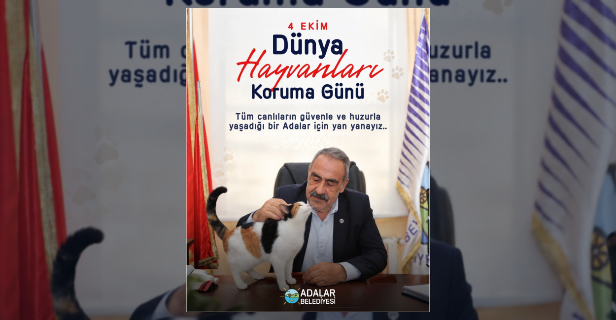 Adalar Belediyesi, 4 Ekim Dünya Hayvanları Koruma Günü dolayısıyla bir