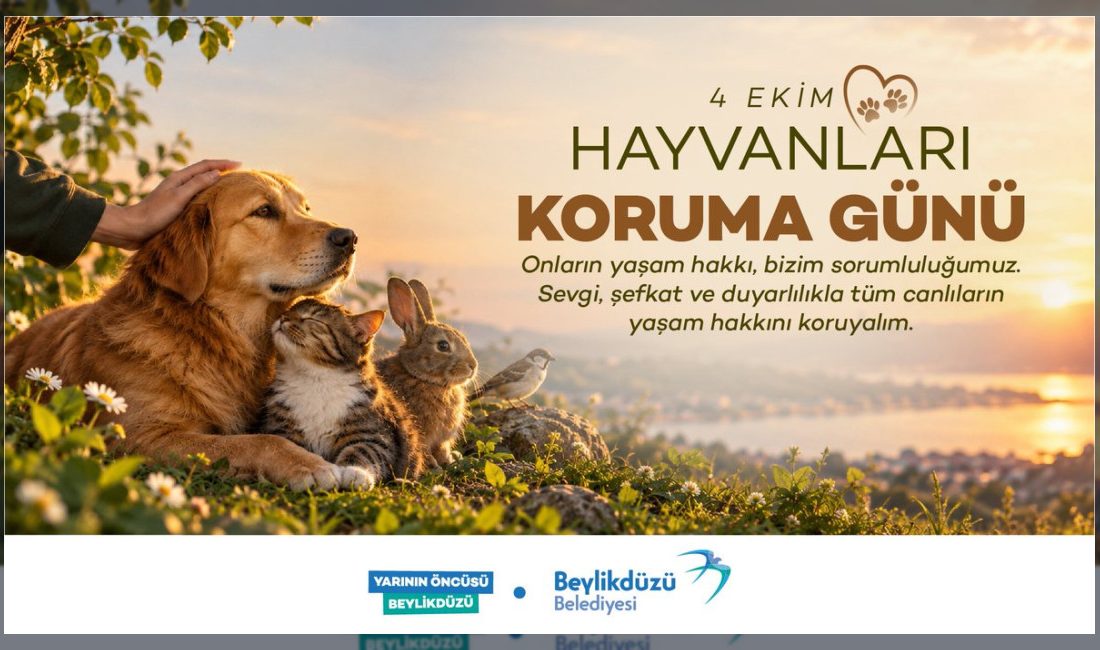 Beylikdüzü Belediyesi, 4 Ekim Dünya Hayvanları Koruma Günü vesilesiyle sokak