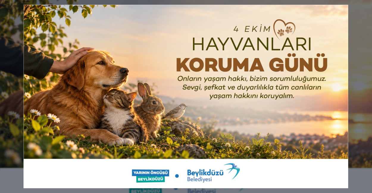 Beylikdüzü Belediyesi, 4 Ekim Dünya Hayvanları Koruma Günü vesilesiyle sokak