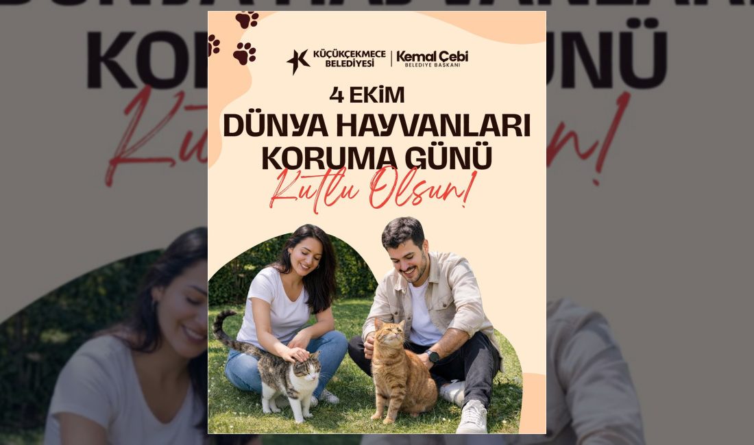 Küçükçekmece Belediyesi Sokak Hayvanları Tedavi ve Rehabilitasyon Merkezi, can dostların