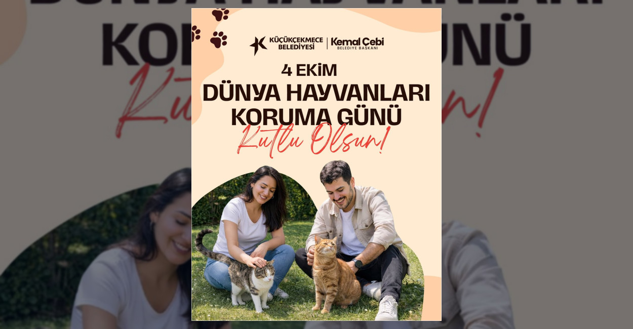 Küçükçekmece Belediyesi Sokak Hayvanları Tedavi ve Rehabilitasyon Merkezi, can dostların