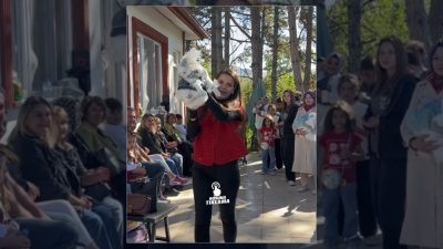 Tokat'ta gerçekleştirilen kedi güzellik yarışmasında birbirinden sevimli sevimli dostlar podyuma
