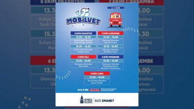 Beyoğlu Belediyesi, Mobilvet aracıyla sokak hayvanlarının sağlık kontrollerini gerçekleştirerek hem