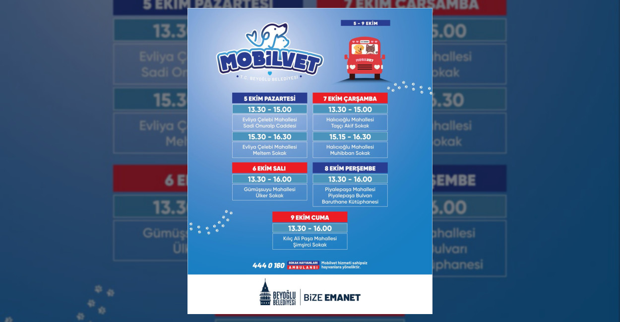 Beyoğlu Belediyesi, Mobilvet aracıyla sokak hayvanlarının sağlık kontrollerini gerçekleştirerek hem