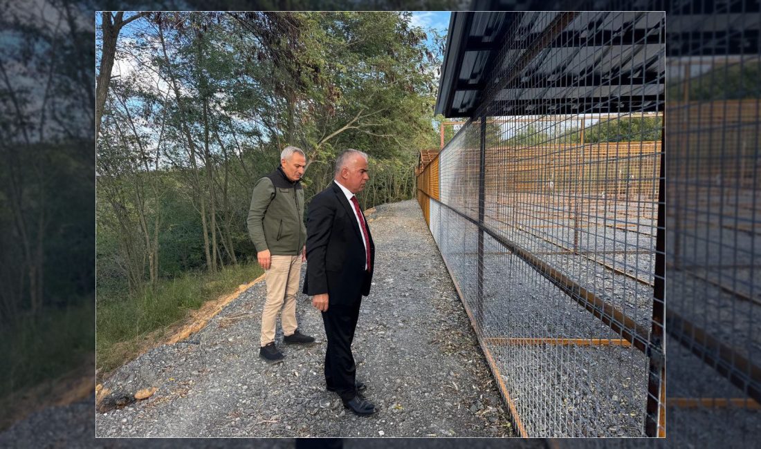 Şile Kaymakamı Mustafa Çit ve Orman İşletme Müdürü Fuat Murat