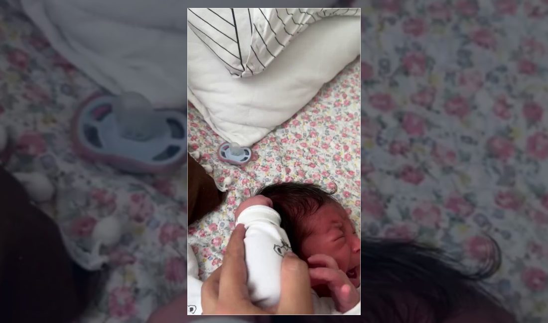 Yeni doğmuş bir bebeğin kendi saçını çektiği anları gösteren görüntüler