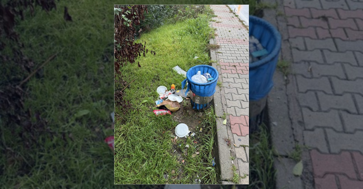 Sancaktepe’de Sokak Kedilerinin Yuvalarının Çöpe Atıldığı İddiası