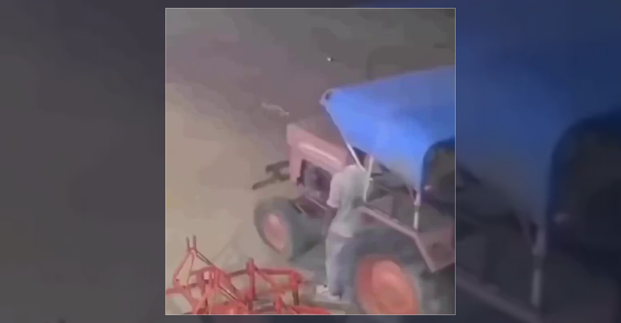 Tarlada Yorgunluğa Masaj Çözümü