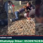 Adana Kozan’da Kadın Cinayeti