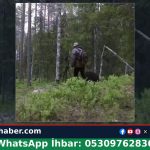 Doğa fotoğrafçısına saldıran ayıyı biber gazı kurtardı