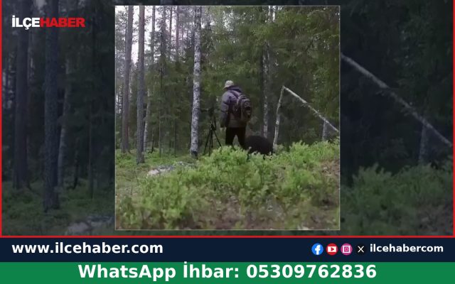Doğa fotoğrafçısına saldıran ayıyı biber gazı kurtardı